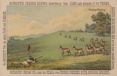 Native American Brave Shooting Antelope by American School